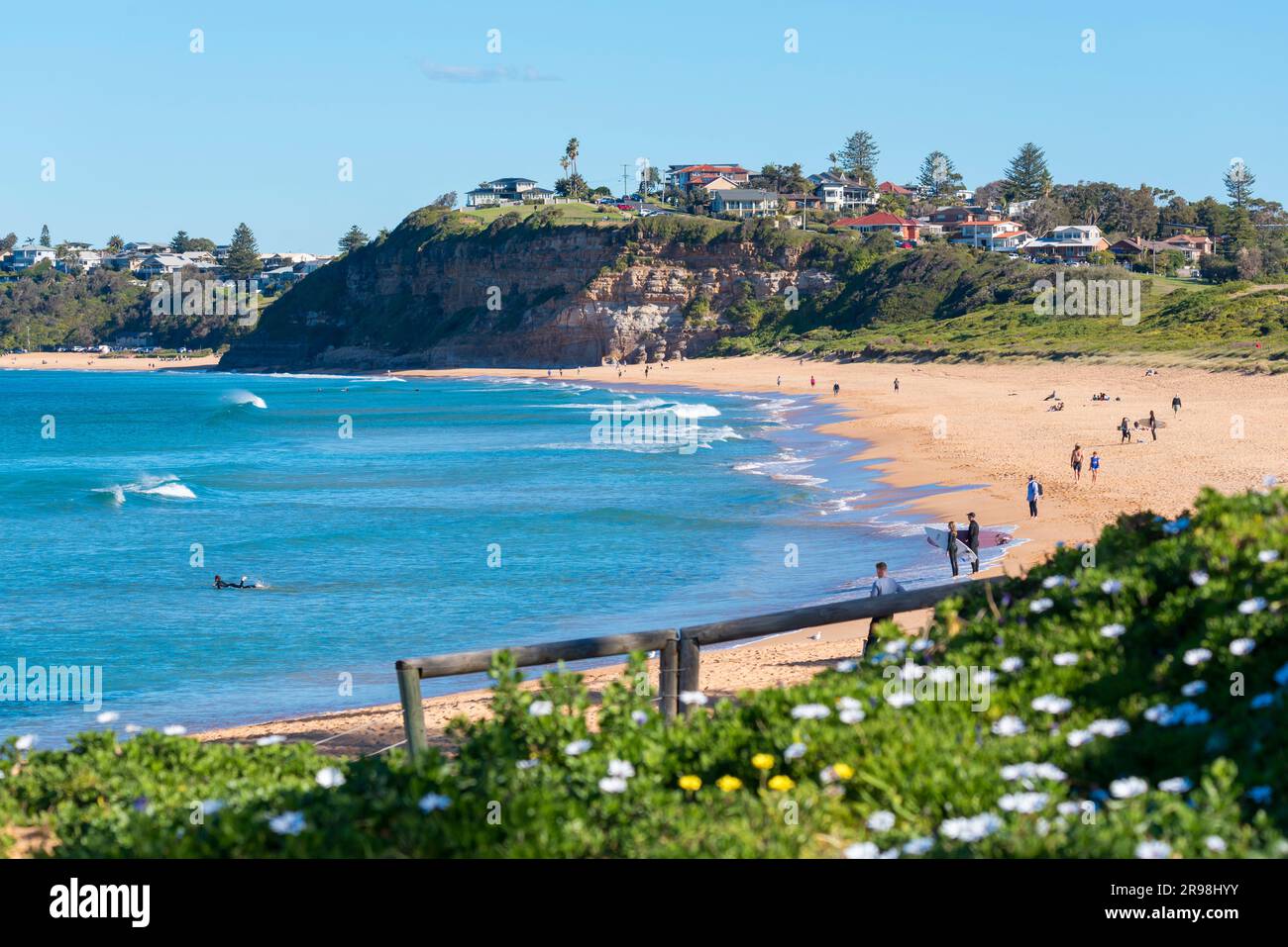 Surfbrettfahrer am Mona Vale Beach in Sydney, New South Wales, Australien. Im Hintergrund über der Klippe befindet sich die Grenze zwischen Mona Vale und Warriewood Stockfoto