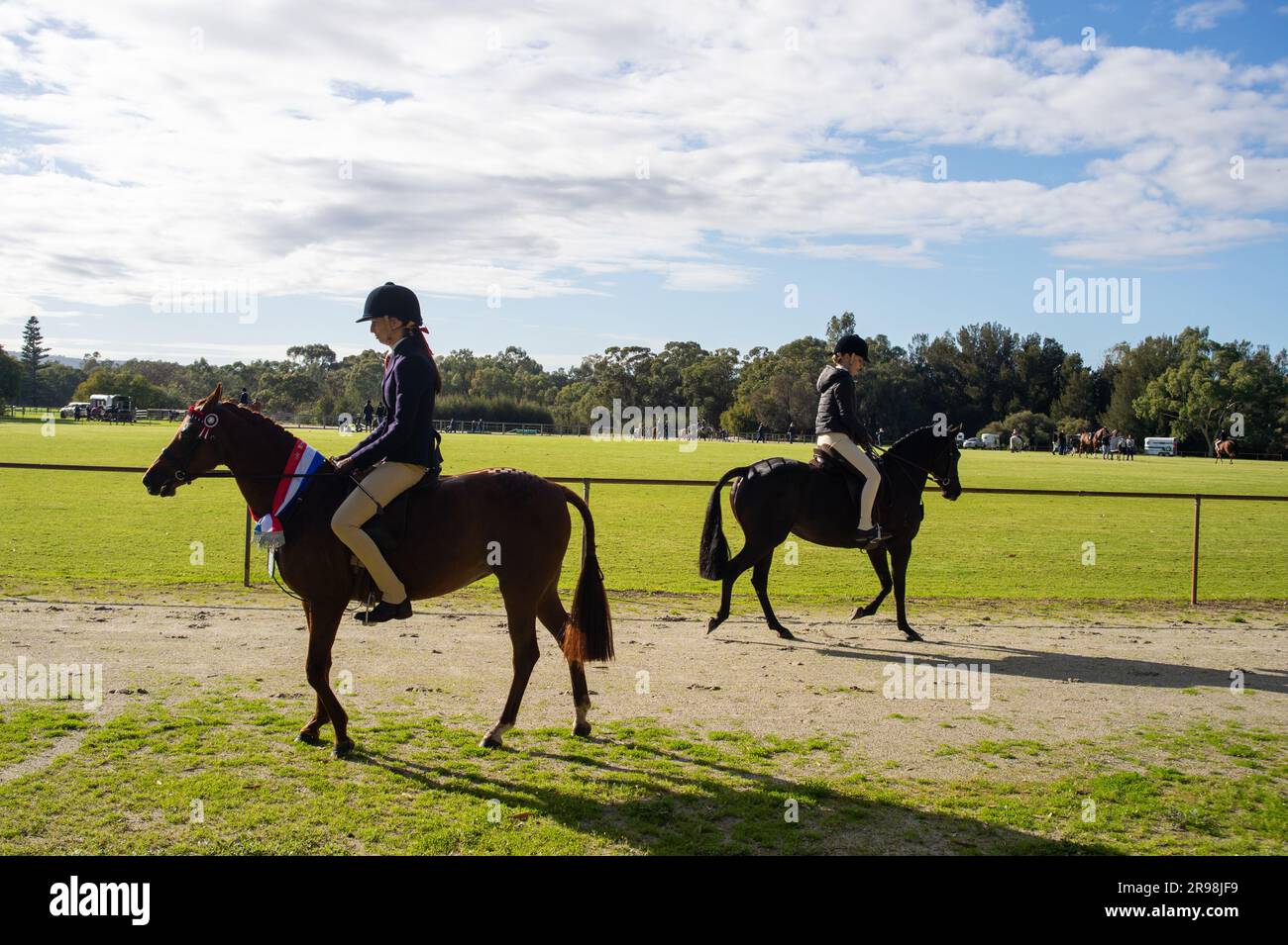 Die Kunst des Reitens und Trainings eines Pferdes auf eine Weise, die Gehorsam, Flexibilität und Gleichgewicht fördert. Stockfoto