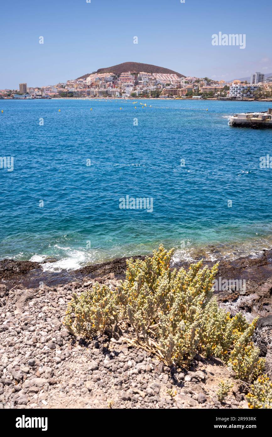 Los Cristianos rockt Stockfoto