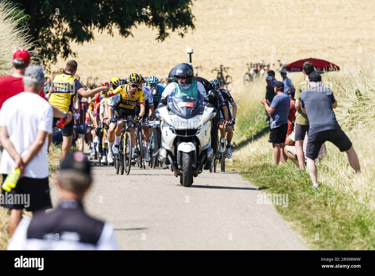 SITTARD - die führende Gruppe fährt durch die Limburg-Landschaft in der Nähe von Sittard während des NK Road Biking. Die Männer kämpfen in Limburg um den Titel beim NK Cycling. ANP MARCEL VAN HOORN Credit: ANP/Alamy Live News Stockfoto