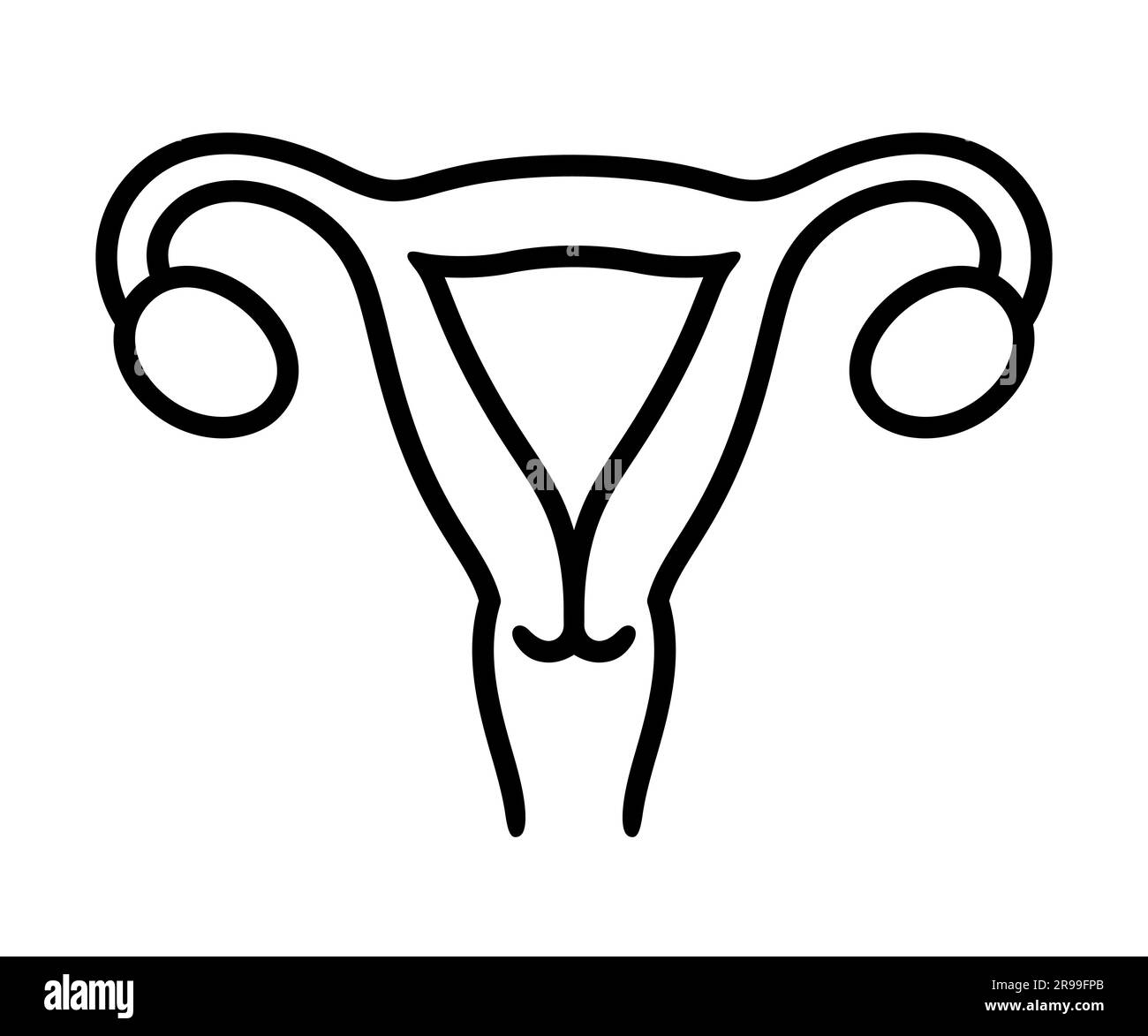 Symbol der menschlichen Uteruslinie. Weibliches Organ des Fortpflanzungssystems, einfache schwarz-weiße Zeichnung. Vektordarstellung. Stock Vektor