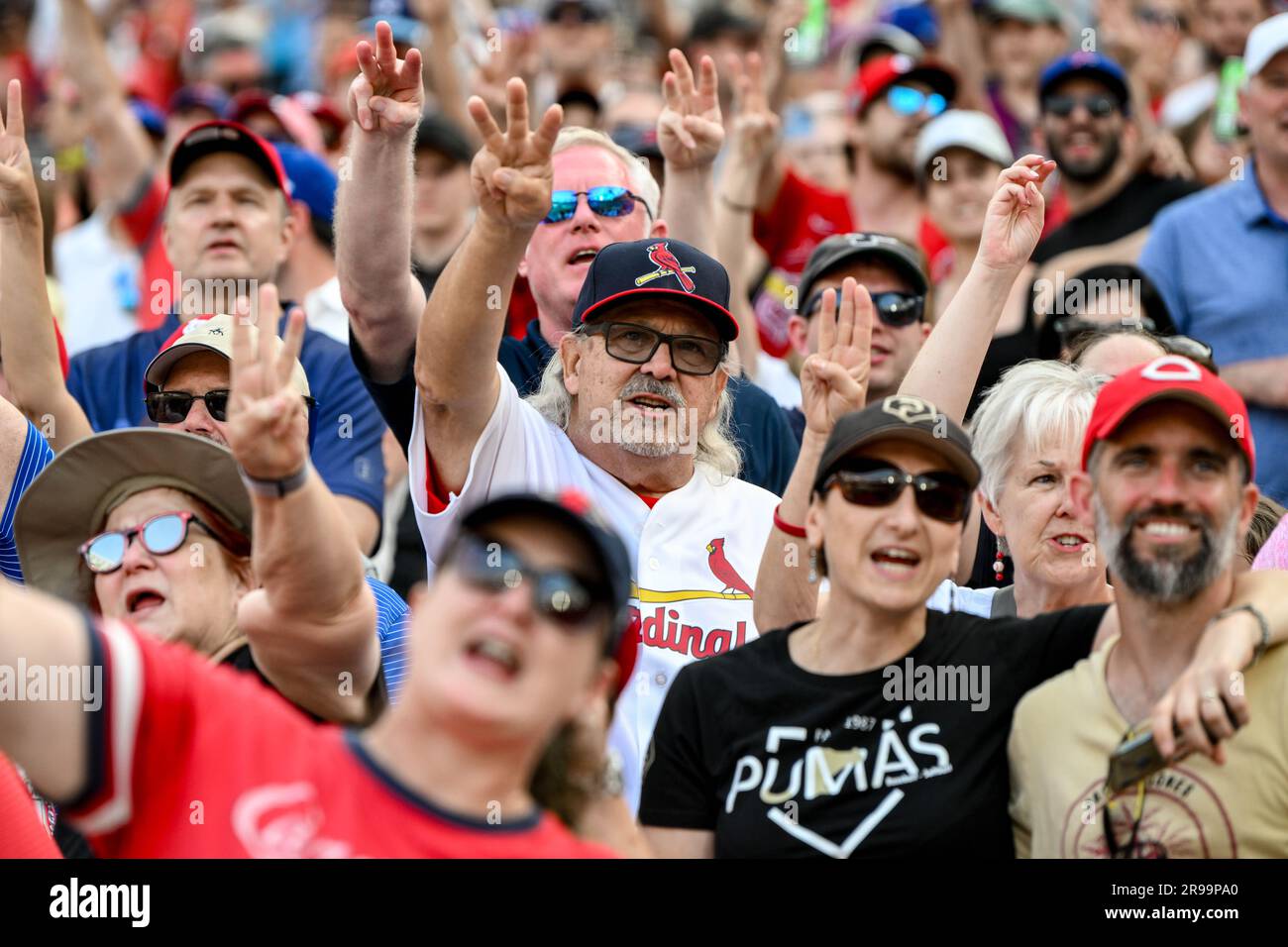 Die Fans singen ein langes Lied, um mich zum Baseballstadion zu bringen, während des 2023 stattfindenden Spiels der MLB London Series St. Louis Cardinals vs Chicago Cubs at London Stadium, London, Großbritannien, 25. Juni 2023 (Foto: Craig Thomas/News Images) Stockfoto