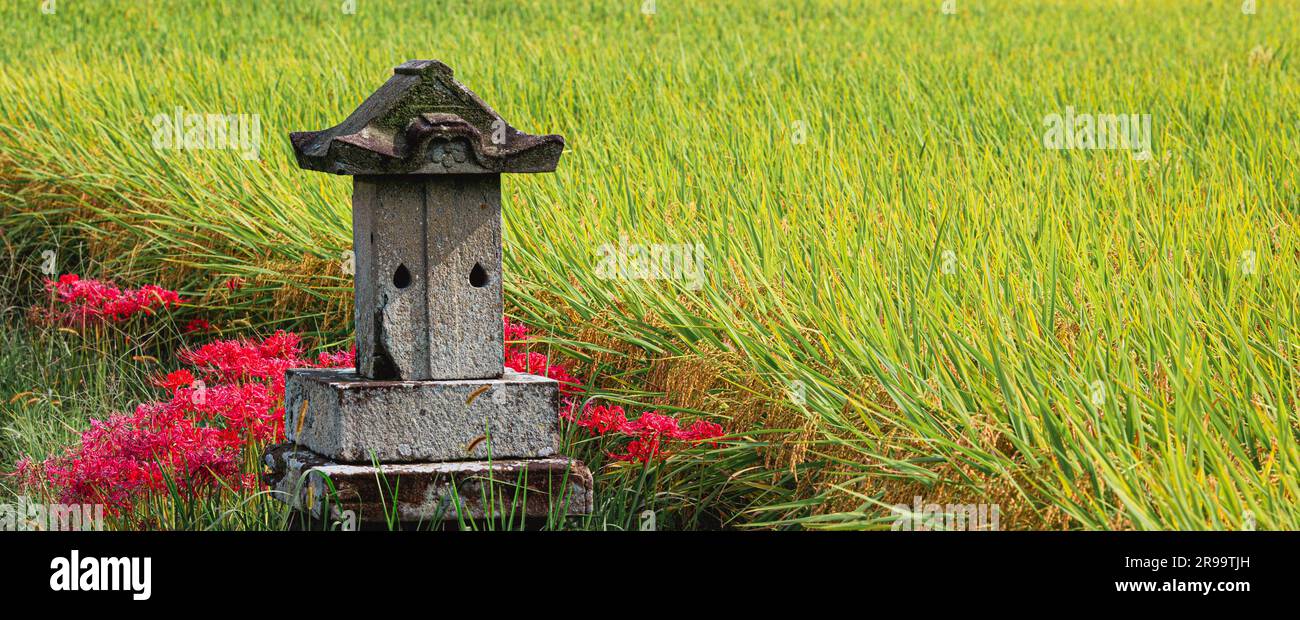 Japan/Präfektur Hyogo/Herstellung von japanischem Sake/Alter Shinto-Schrein auf Reisfeldern der Präfektur Hyogo Japan. Stockfoto