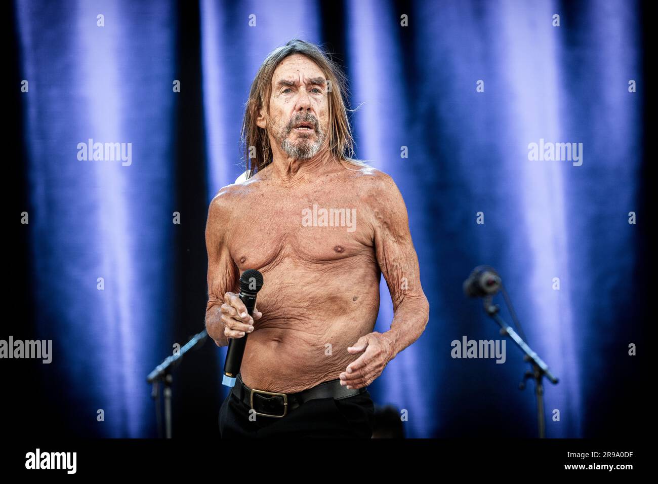Oslo, Norwegen. 24. Juni 2023. Der amerikanische Sänger, Musiker und Rocklegende Iggy Pop führt während des norwegischen Musikfestivals Tons of Rock 2023 in Oslo ein Live-Konzert auf. (Foto: Gonzales Photo/Alamy Live News Stockfoto