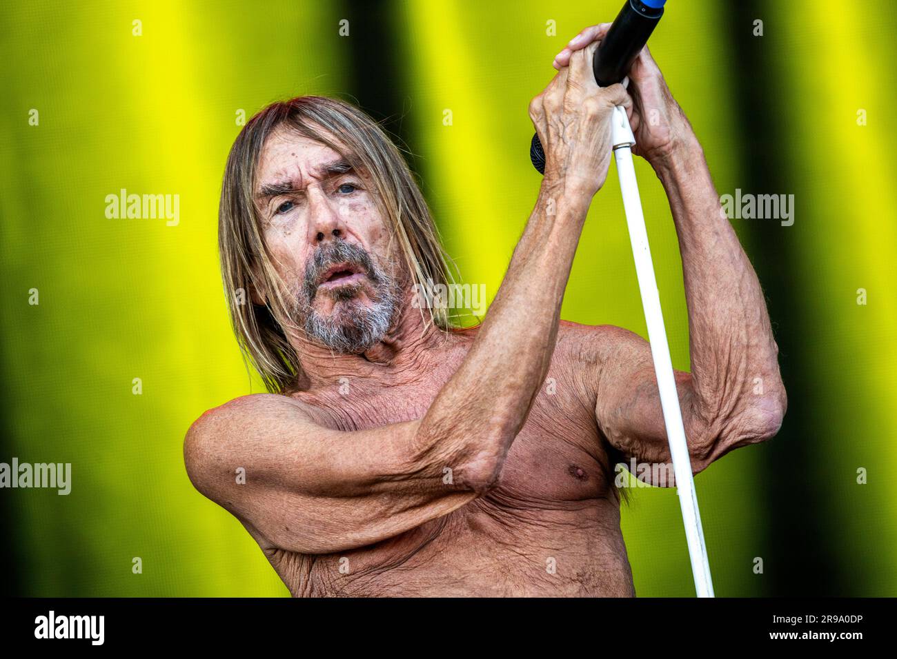 Oslo, Norwegen. 24. Juni 2023. Der amerikanische Sänger, Musiker und Rocklegende Iggy Pop führt während des norwegischen Musikfestivals Tons of Rock 2023 in Oslo ein Live-Konzert auf. (Foto: Gonzales Photo/Alamy Live News Stockfoto