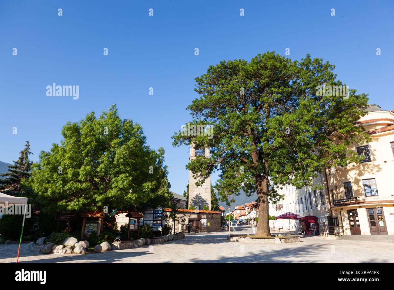 Bansko, Bulgarien - 30. Juni 2022: Stadt Bansko. Große grüne Bäume im Zentrum der Stadt mit blauem Himmel. Stockfoto