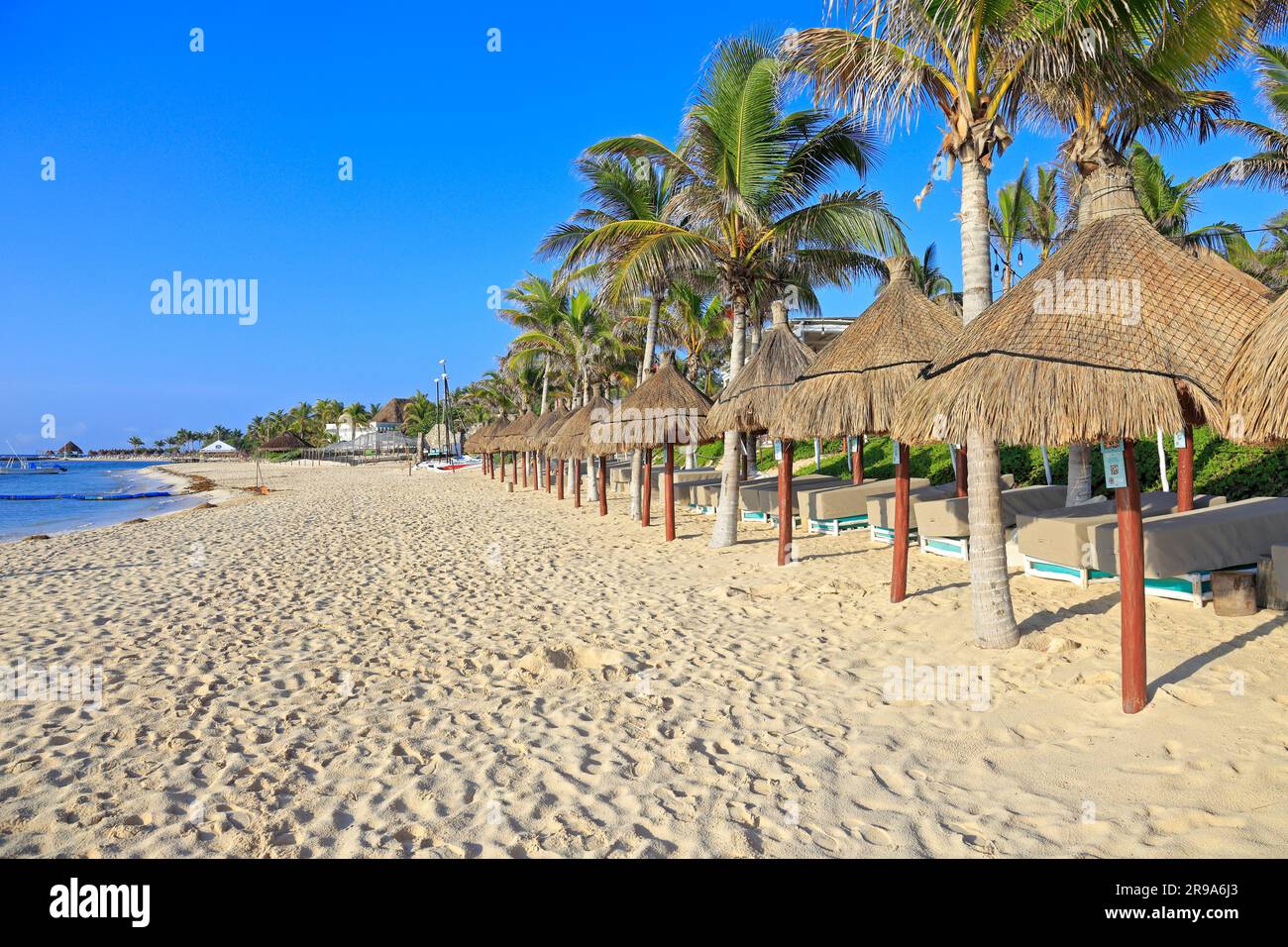 Akumal trail -Fotos und -Bildmaterial in hoher Auflösung – Alamy