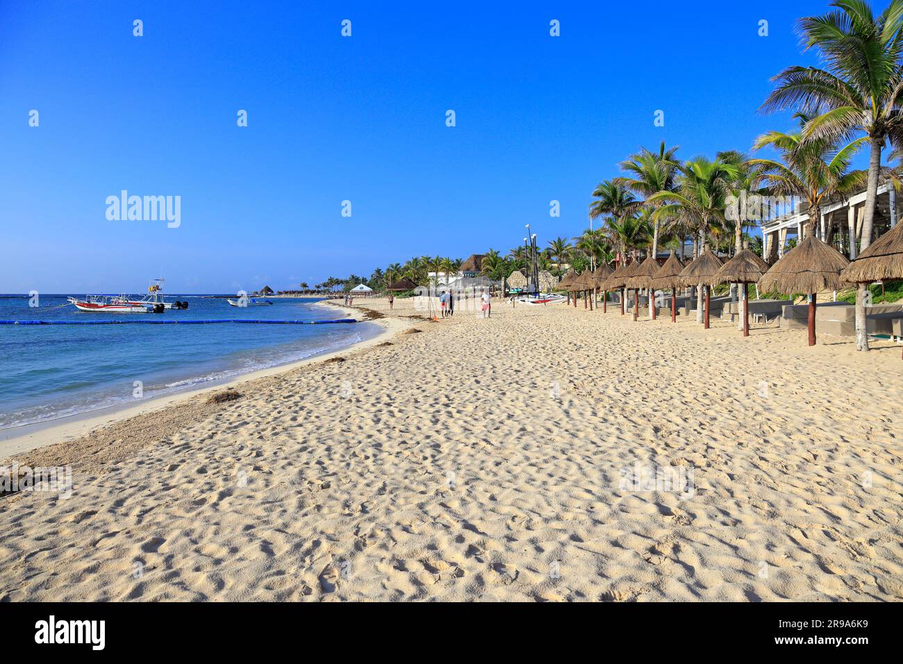 Akumal trail -Fotos und -Bildmaterial in hoher Auflösung – Alamy