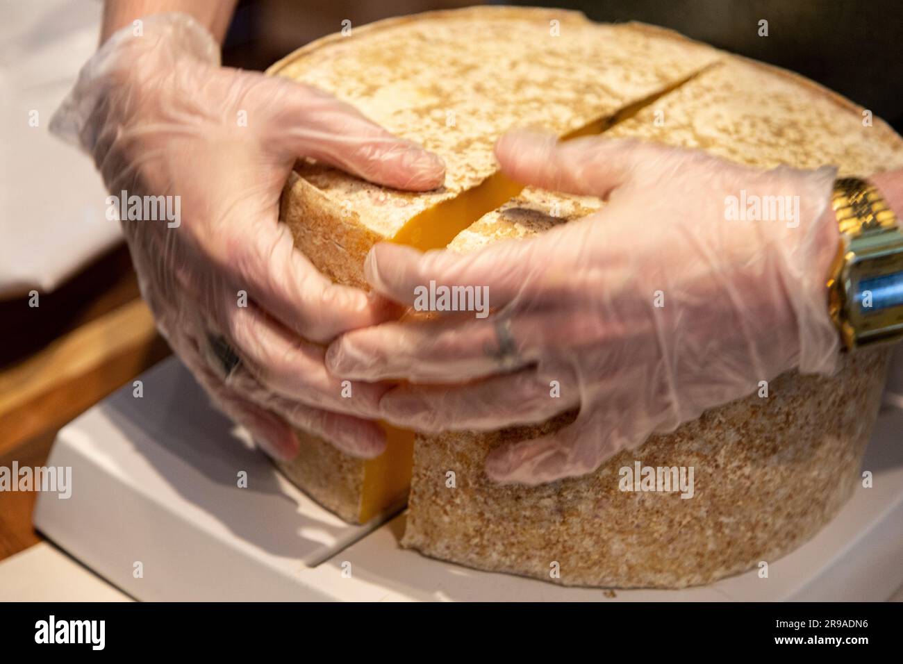 Cheesemonger Cutting Wheel of 7 Monate aged Cloth Bound Cheddar, Grafton Village Cheese Shop, Grafton, Vermont, USA Stockfoto