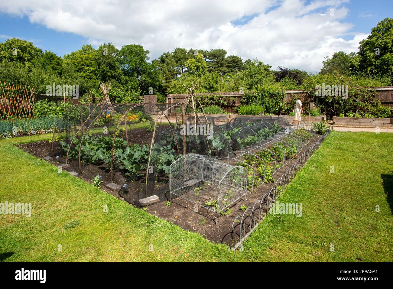Der ummauerte Gemüsegarten des National Trust in Speke Hall in Speke Liverpool Merseyside Stockfoto