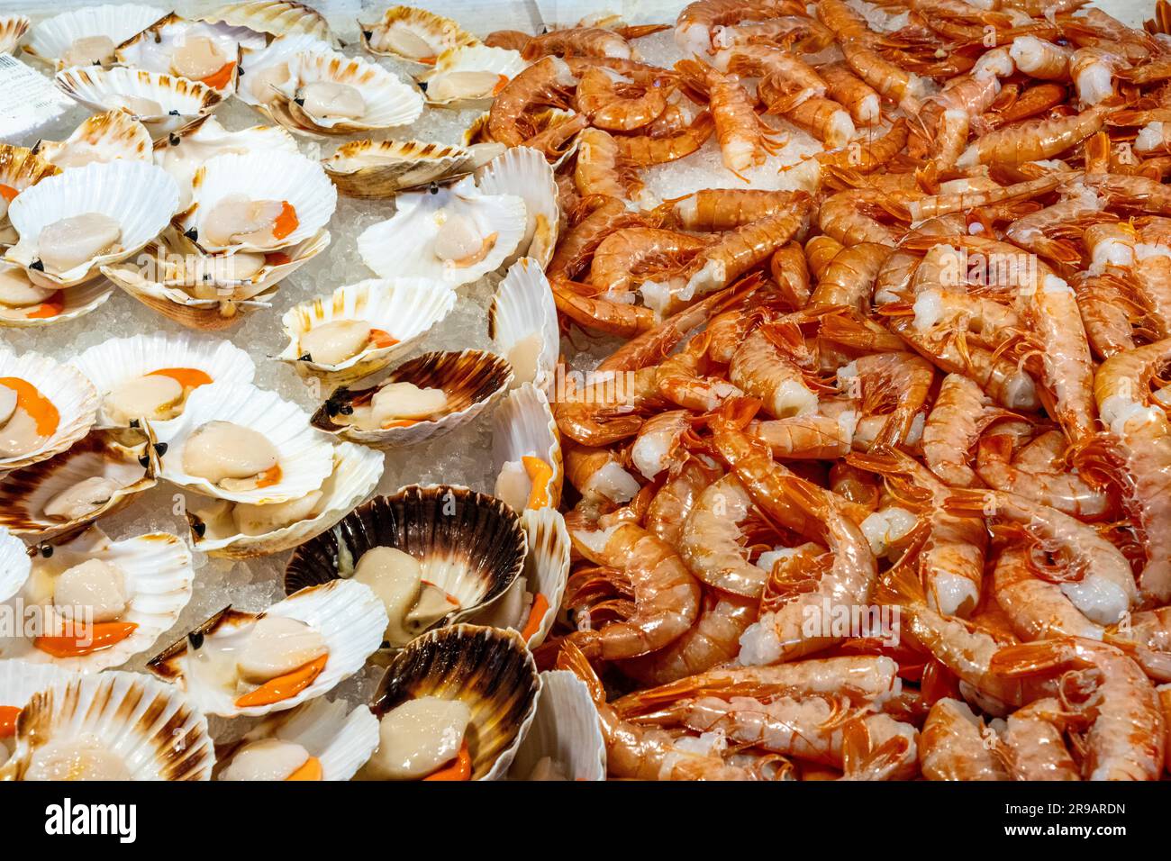 Jakobsmuscheln und Garnelen aus dem Mittelmeer zum Verkauf auf einem ...