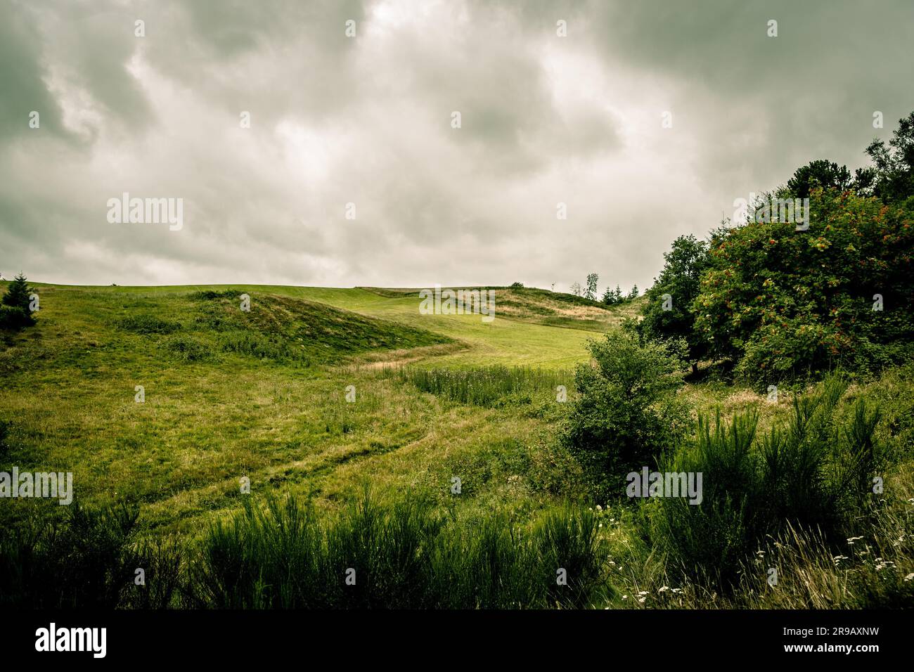 Grüne Felder und bewölktem Wetter Stockfoto