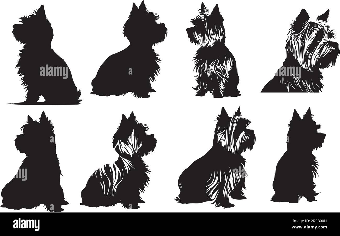 Kleine Hundesilhouetten, Yorkshire Terrier, Hundekollektion Stock Vektor