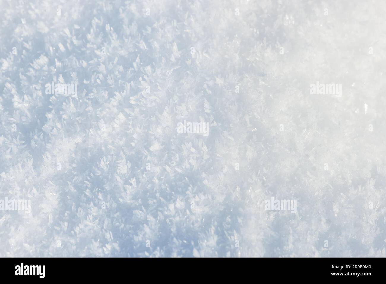 Weißer Schnee Nahaufnahme mit Schneeflocken Stockfoto