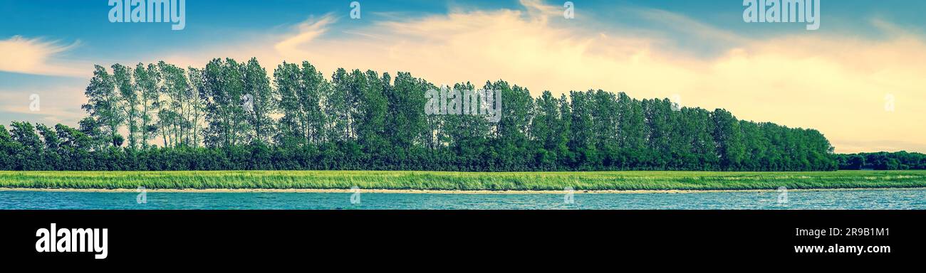 Panorama Strand Landschaft mit Bäumen auf eine Zeile im Sommer Stockfoto