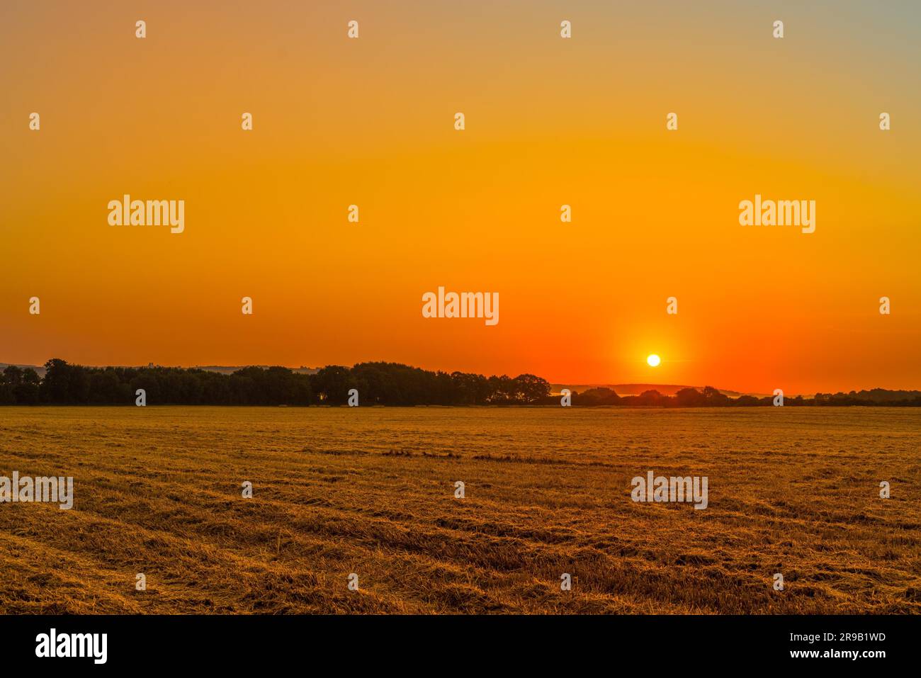 Sonnenaufgang über einer Landschaft Feld im Sommer Stockfoto