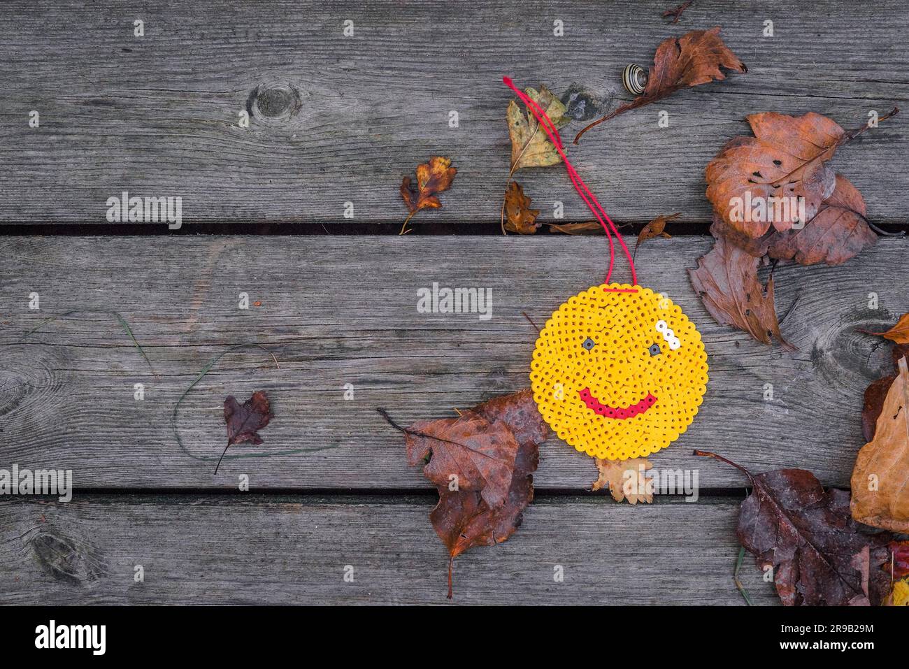 Smiley-Symbol auf Holzbohlen im Herbst Stockfoto