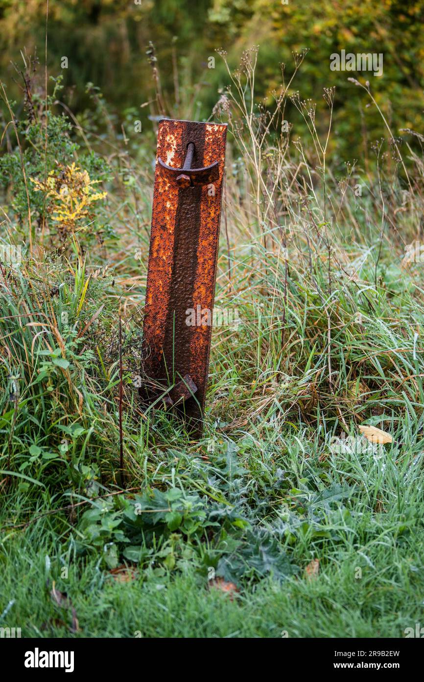 Rostige Metallstab auf dem grünen Rasen Stockfoto