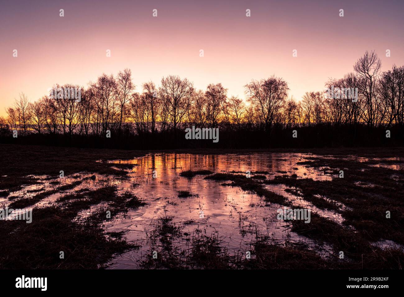 Winterlandschaft mit gefrorenem Wasser im winter Stockfoto