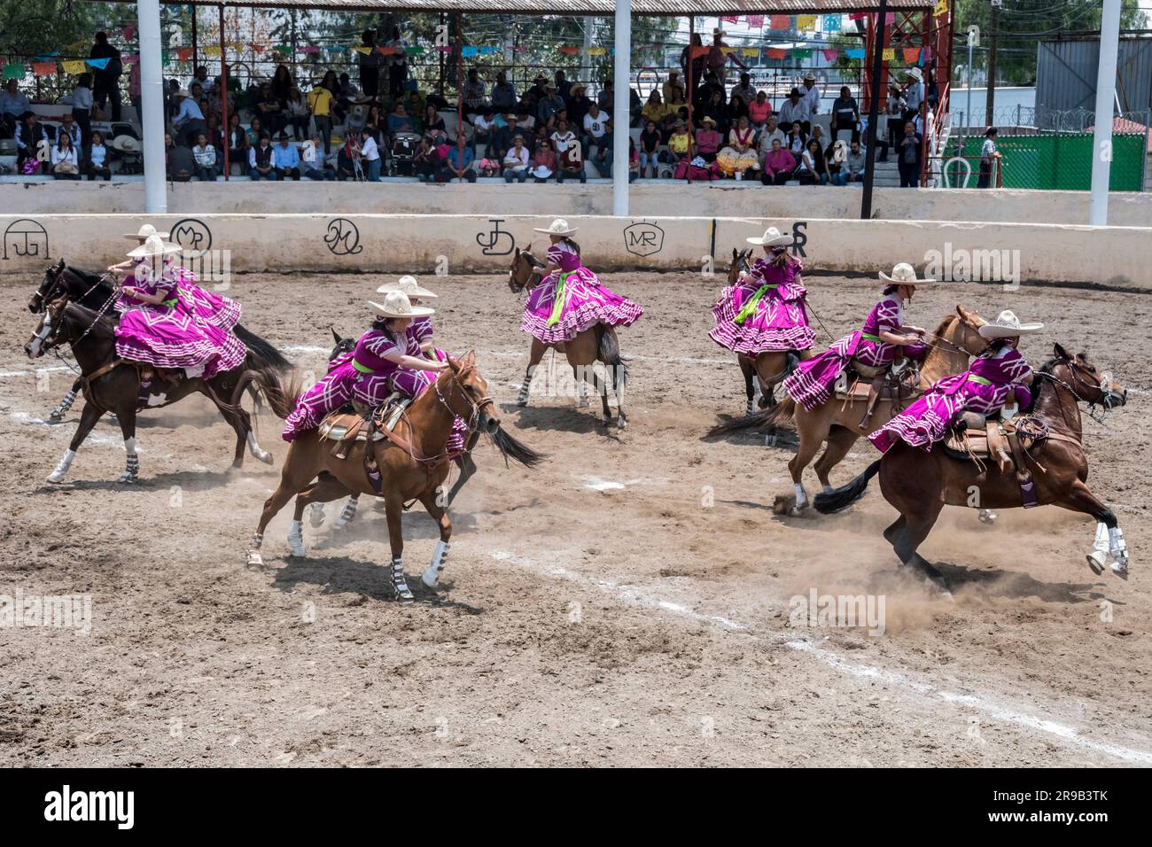 Frauen treten in einer traditionellen Charreria in Mexiko-Stadt, Mexiko, gegeneinander an Stockfoto