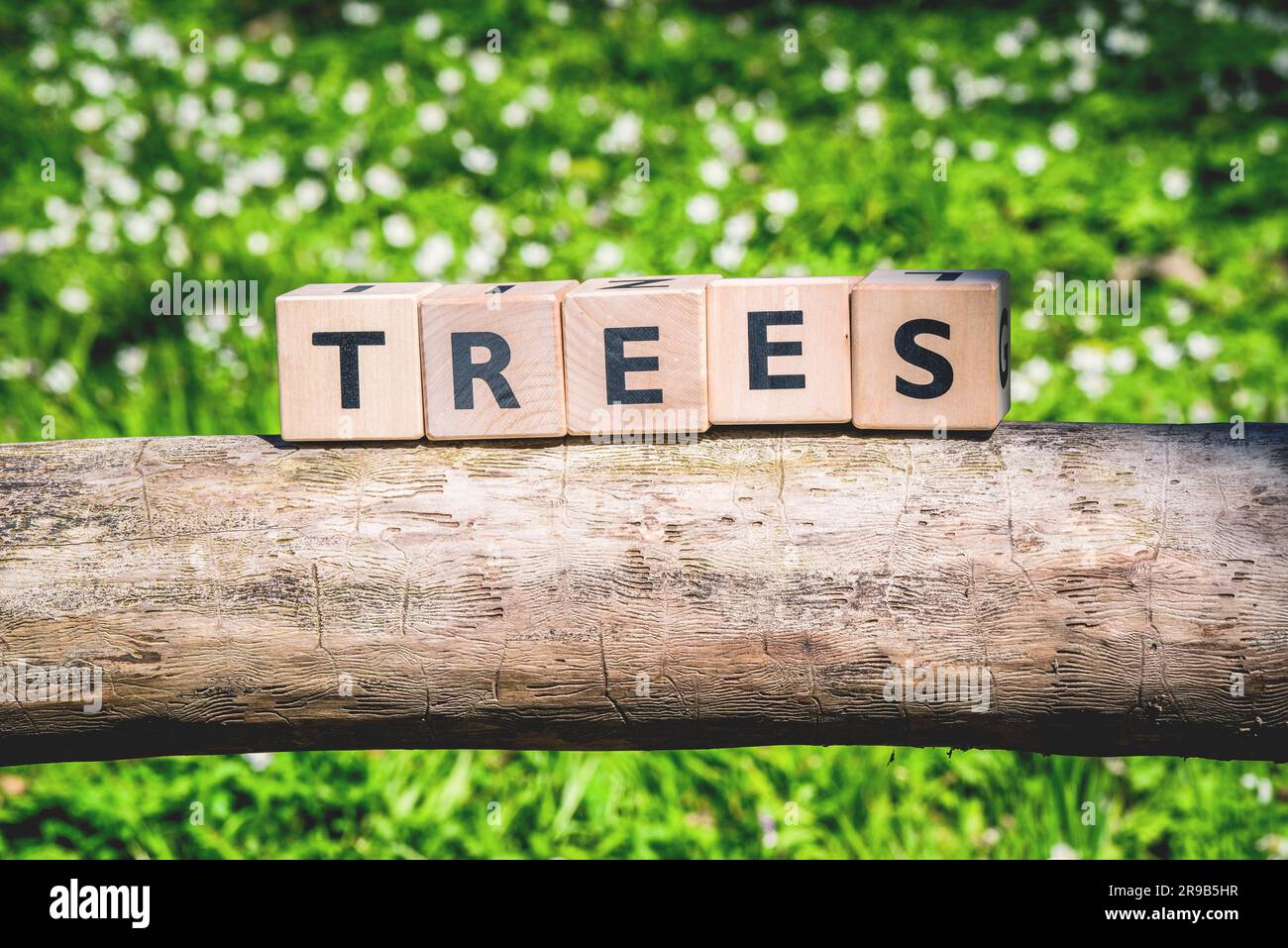 Baum-Protokoll mit einem hölzernen Schild in einem grünen Wald Stockfoto