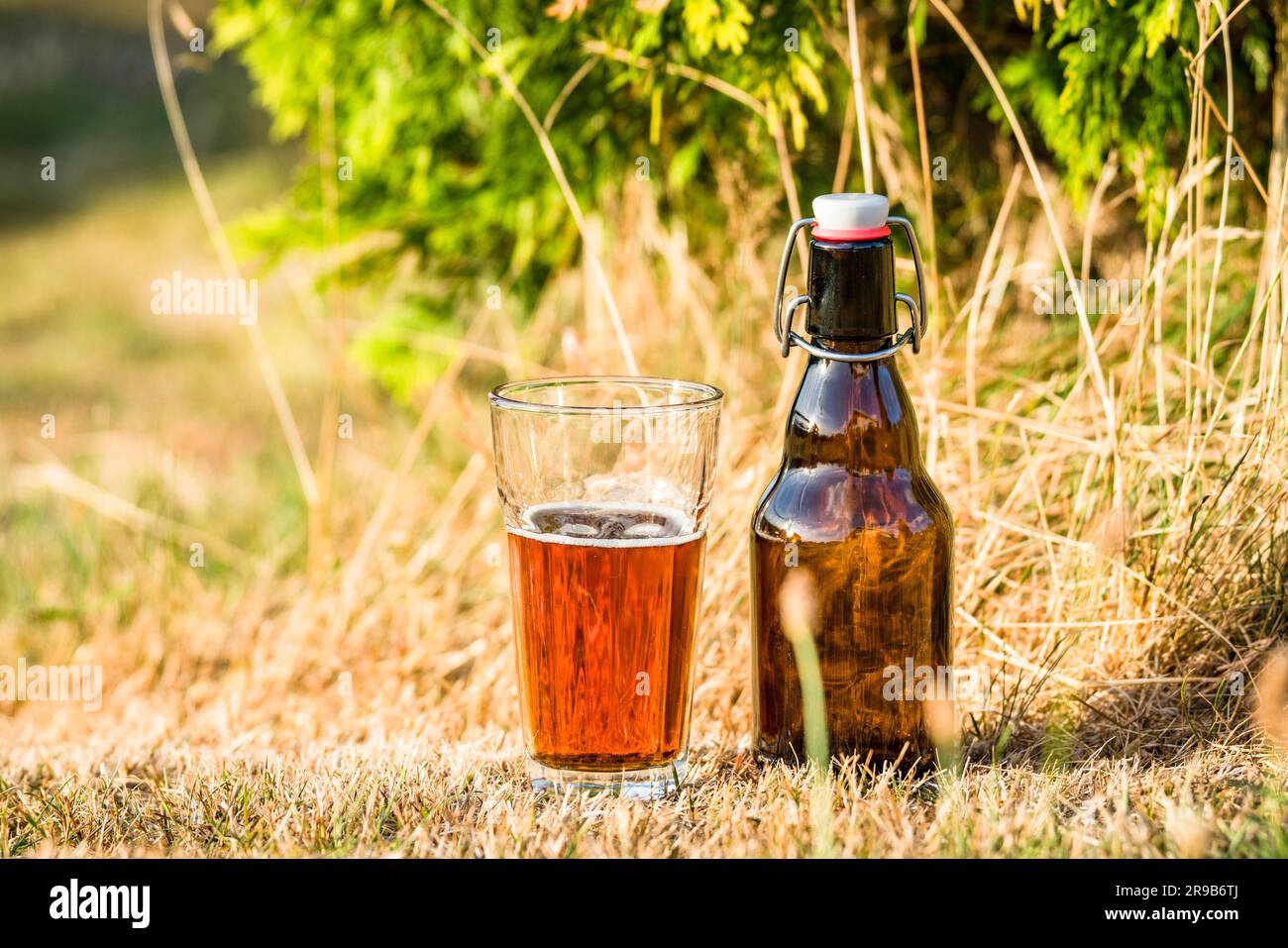 Golden Bier in ein Glas mit einer Flasche daneben in idyllischer Natur im Sommer Stockfoto