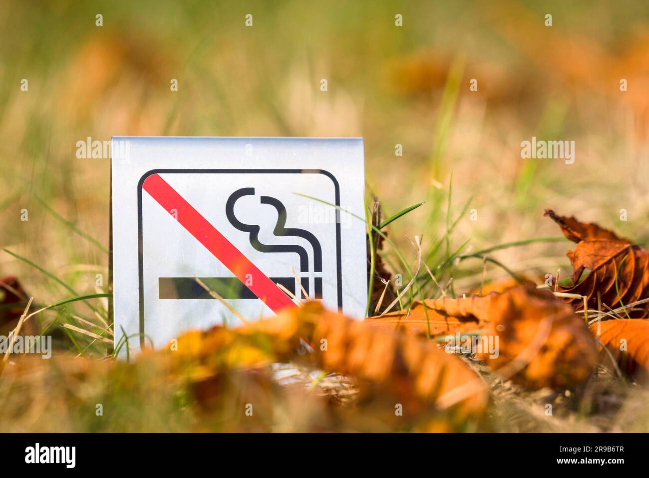 Nr. Rauchen Zeichen in der Natur mit Herbst Blätter in der Sonne Stockfoto