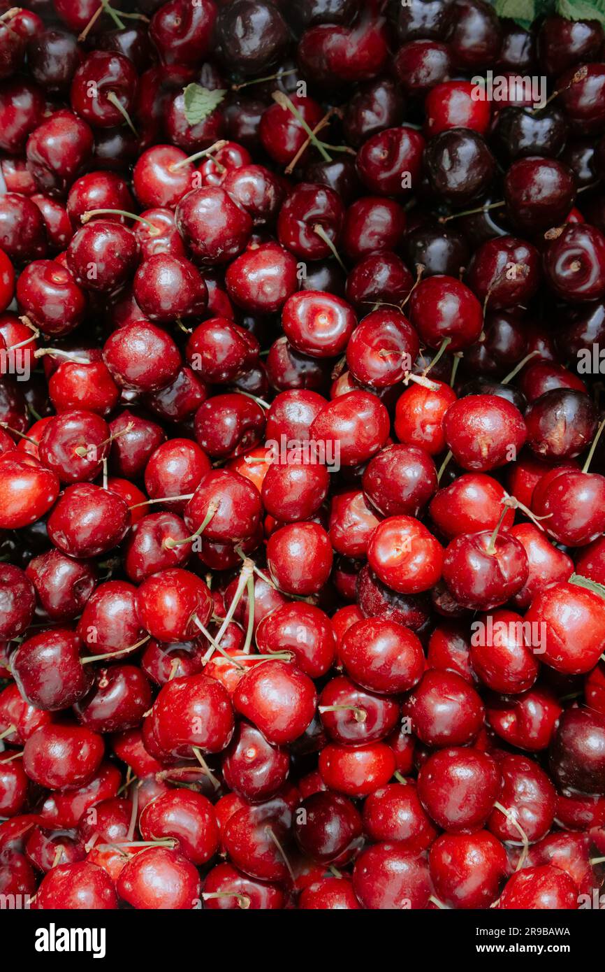 Frische Kirschen im Angebot auf einem grünen Markt Stockfoto