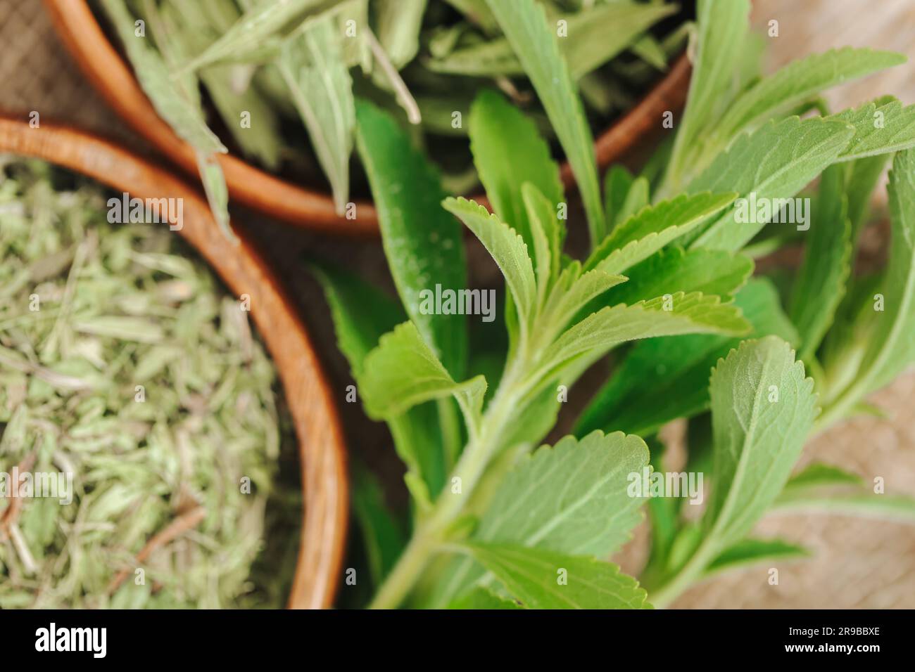 Ditetischer Sstoff. Stevia-Pflanze. Zuckerersatz. Getrocknete Stevia und  grner Zweig in einem runden Becher auf Leinenholz auf einem Holzbrett.  Kalorienarmes Gemse Stockfotografie - Alamy