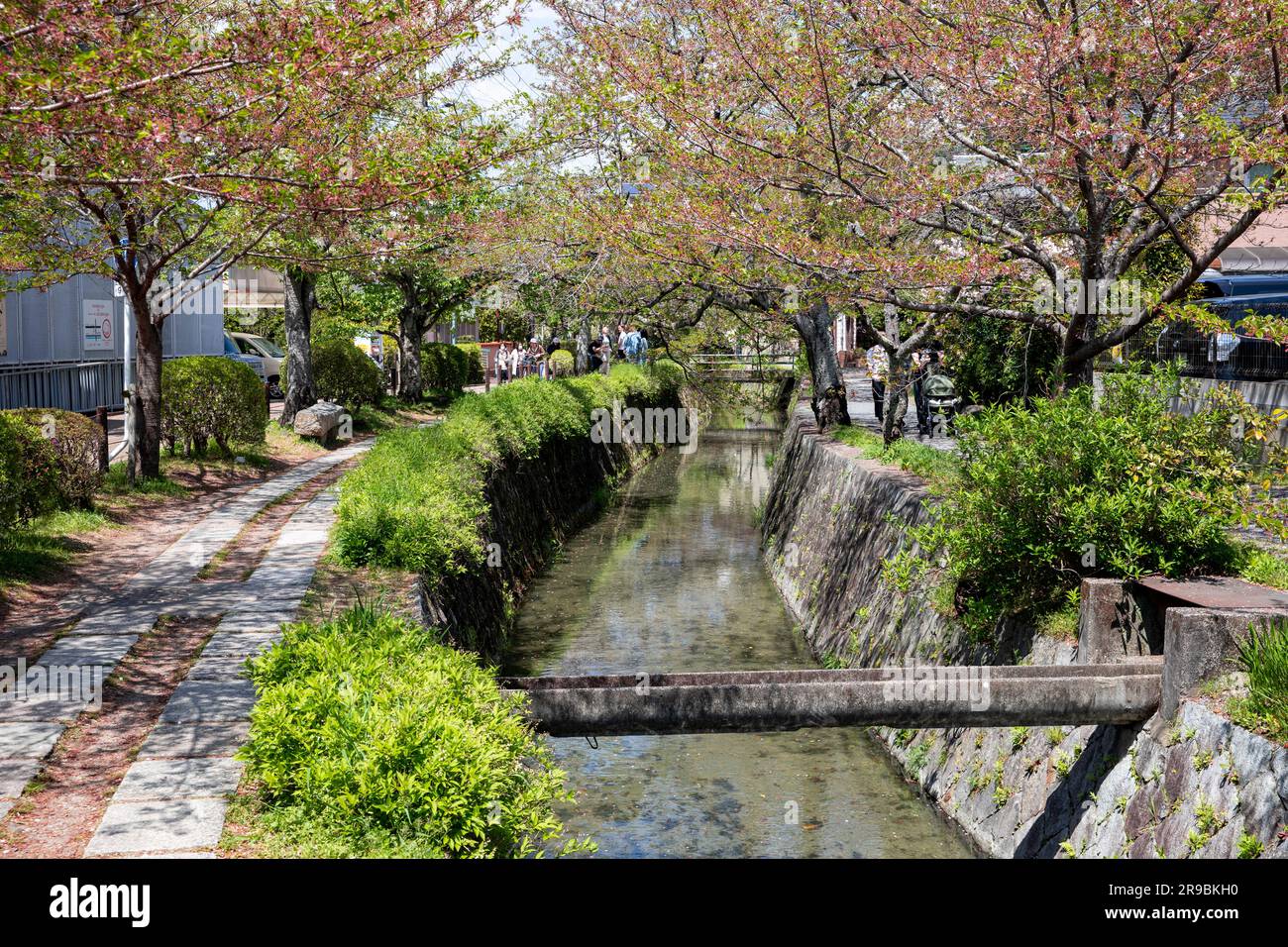 Die Philosophen gehen im Frühjahr 2023 in Kyoto entlang, mit Kirschblüten-Sakura in Kyoto, Japan, Asien Stockfoto