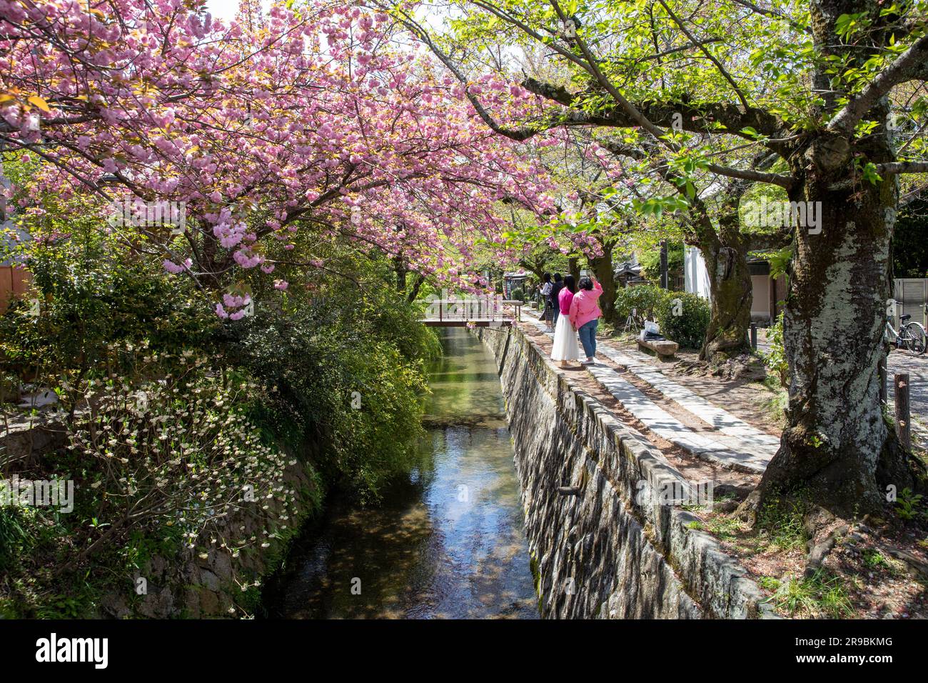 Zwei Frauen auf den Philosophen gehen in Kyoto während der Kirschblüten-Hanami Frühlingszeit 2023, Japan, Asien Stockfoto