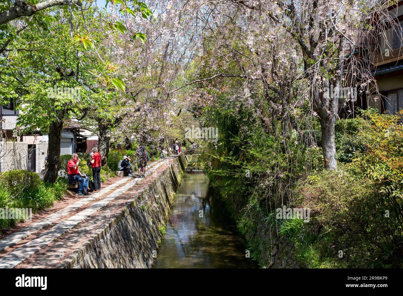 Kyoto 2023 Philosophen Wanderweg in Kyoto, Frühling, Japan, Asien 2023 Stockfoto