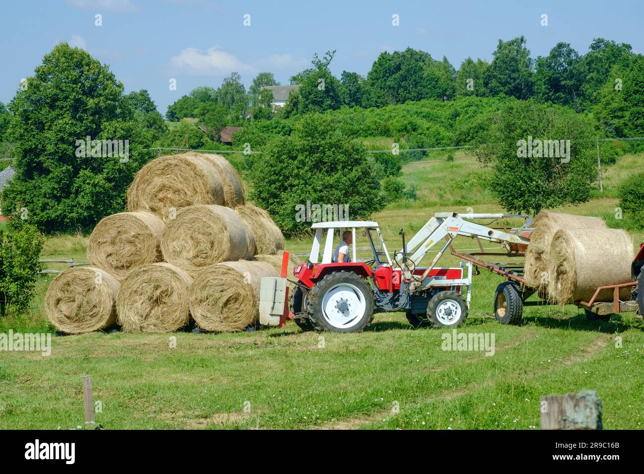 der traktor steyr 650 wird zum Stapeln runder Heuballen verwendet, die nach der Ernte im ungarischen Bezirk zala vom Anhänger entladen wurden Stockfoto