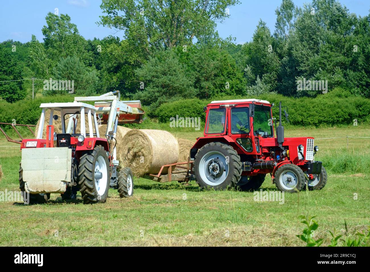 der traktor steyr 650 wird nach der Ernte im ungarischen Bezirk zala zum Stapeln runder Heuballen verwendet Stockfoto