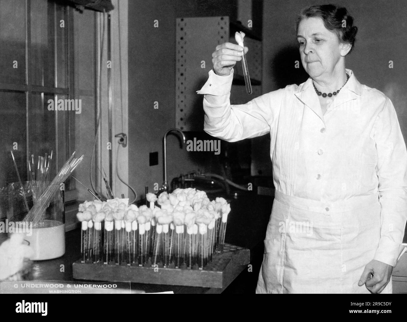 Washington, D.C.: c. 1933 Senior Bakteriologe Dr. Alice C. Evans aus den USA Der Gesundheitsdienst hält ein Reagenzglas mit einer frischen Kolonie von unförmigen Fieberkeimen, für die sie eine Heilung sucht. Stockfoto