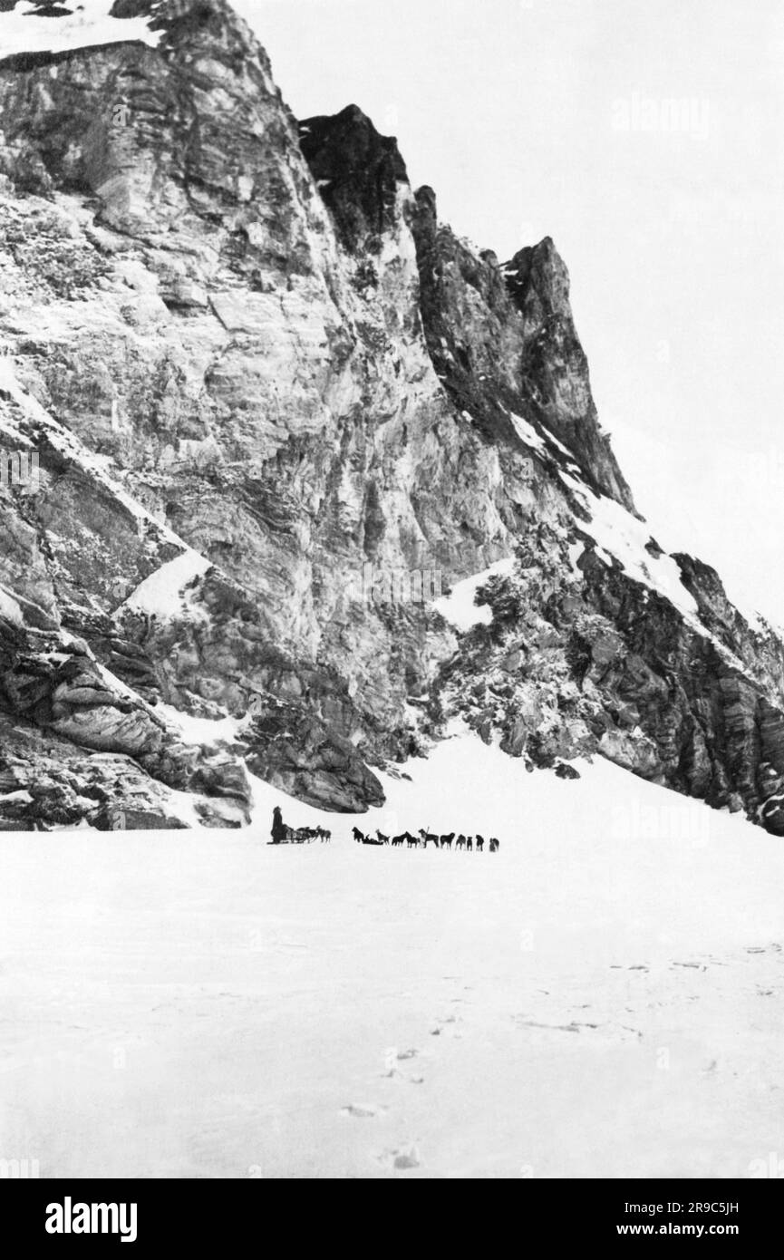 Candle, Alaska: 5. Juli 1923 norwegischer Entdecker Roald Amundsen mit seinem Schlitten- und Hundeteam außerhalb von Candle, der letzten Stadt auf dem Weg nach Wainwright während seiner Polarexpedition. Stockfoto