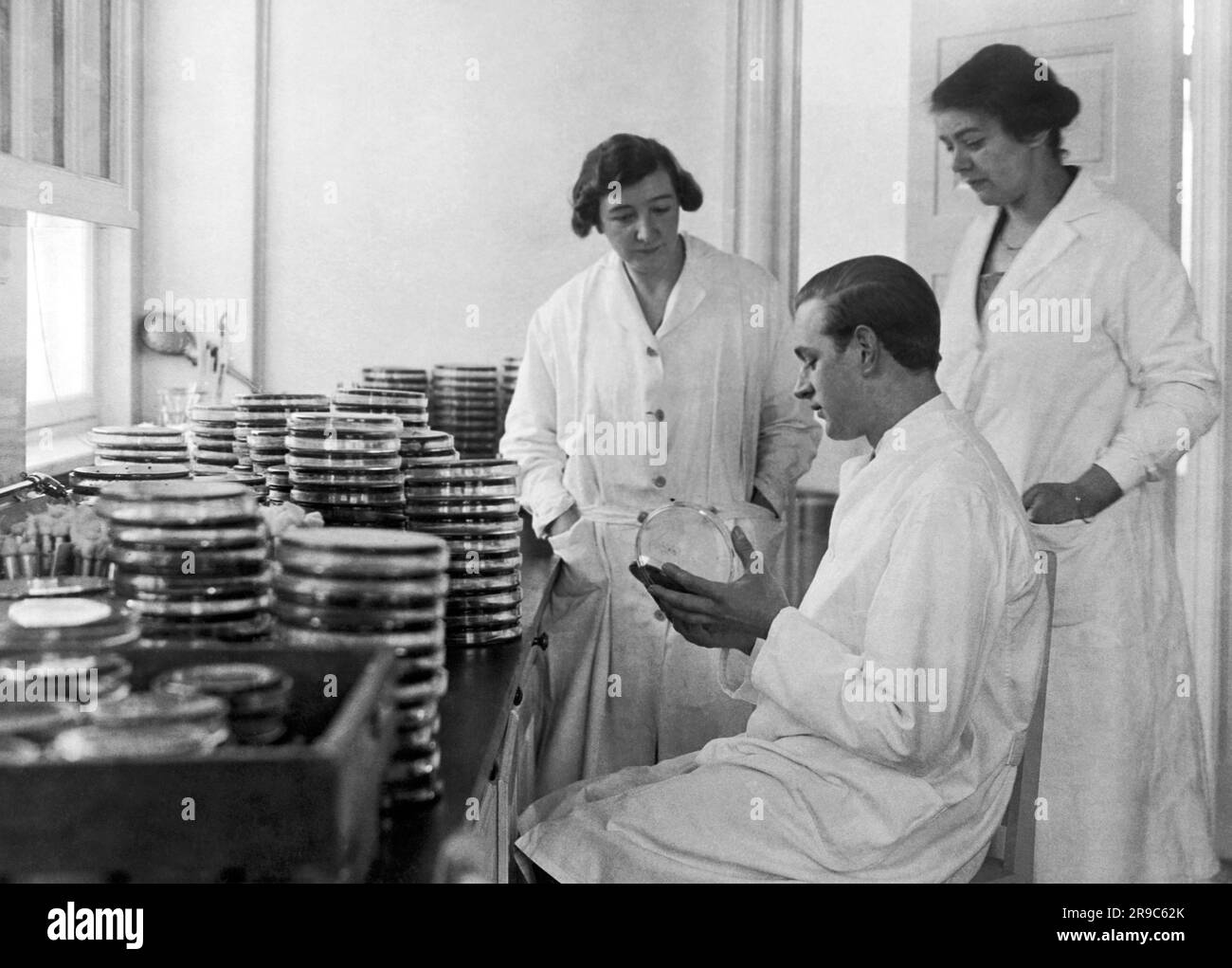 Kopenhagen, Dänemark: ca. 1925 Mitarbeiter an der bakteriologischen Diagnosestation des Serum-Instituts. Die Glasschalen enthalten Milliarden von Bakterien von Pest und Cholera und werden mit großer Sorgfalt behandelt. Stockfoto