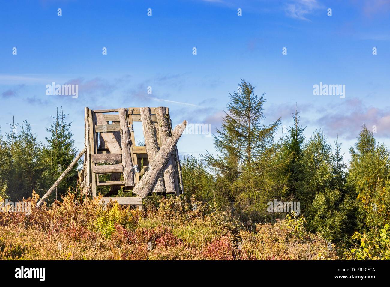 Der Jagdturm auf einem Hügel in einem Wald im Herbst Stockfoto