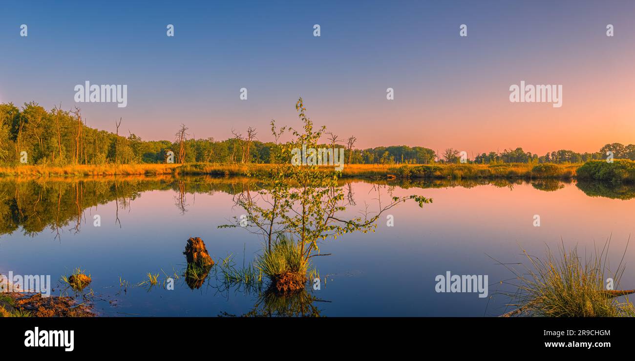 Ein 2:1-Panoramafoto eines Sonnenaufgangs im Naturschutzgebiet Appelbergen, einem wunderschönen Stück Natur in Glimmen, an der Grenze der Provinz Drenthe und Stockfoto