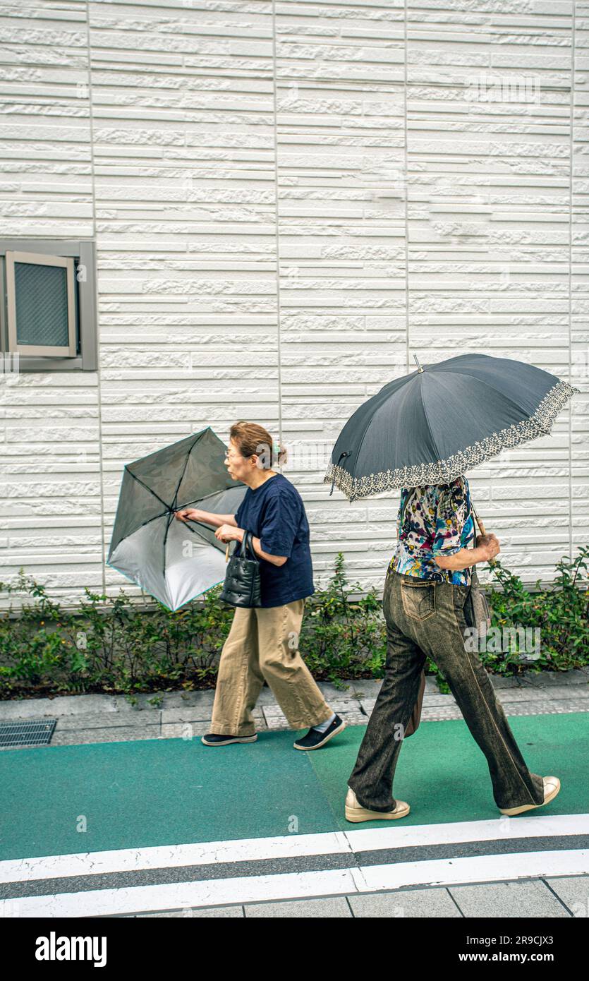 Japan/Akashi/Präfektur Hyogo/zwei Frauen mit Schirm auf der Straße. Stockfoto