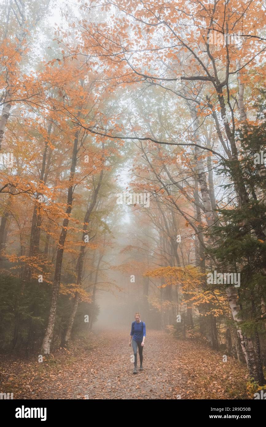 Eine Frau, die auf dem Weg wandert Stockfoto