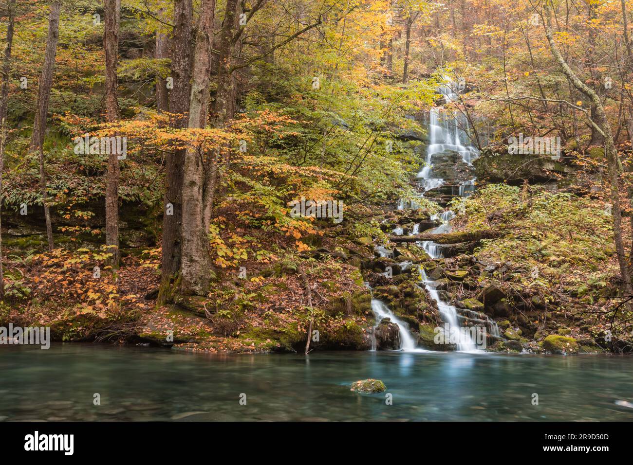 Herbst Landschaft in New England Stockfoto