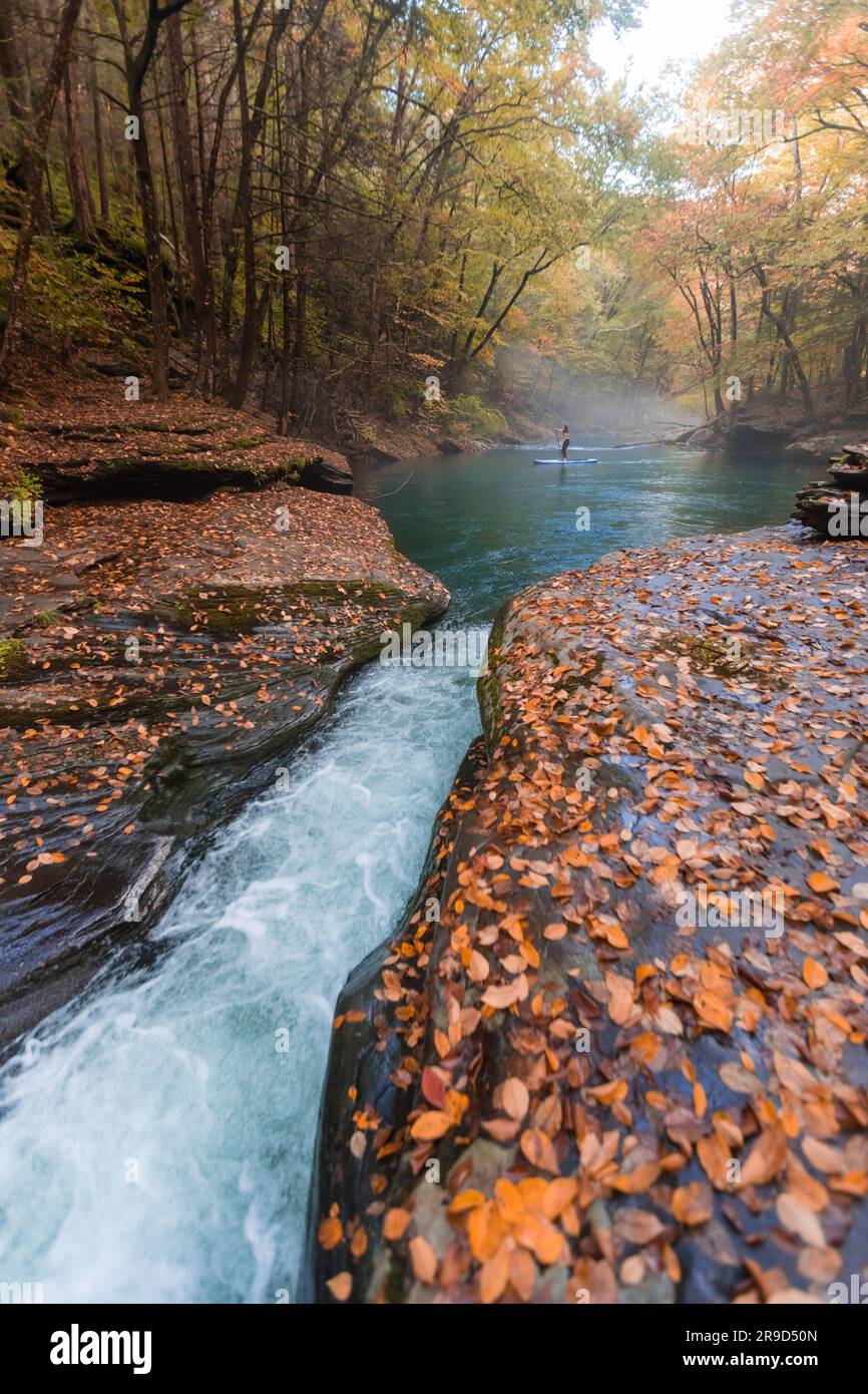 Frau paddelt in einer Herbstszene auf einem klaren Fluss Stockfoto