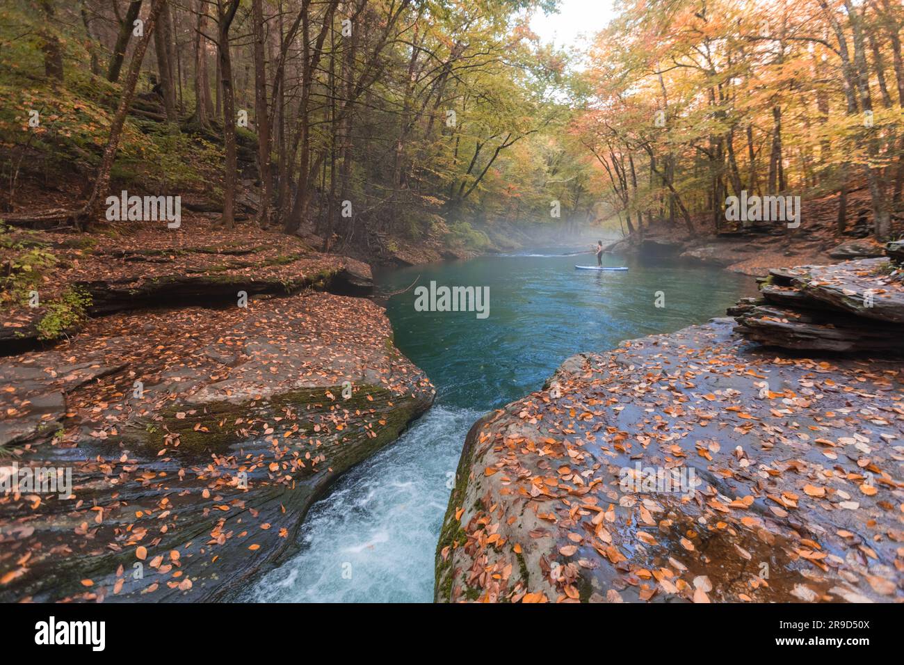 Frau paddelt in einer Herbstszene auf einem klaren Fluss Stockfoto