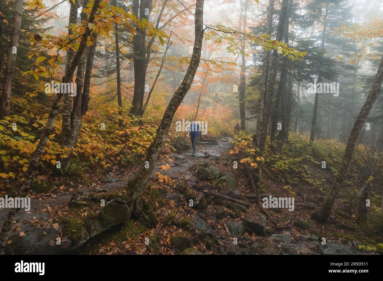 Eine Frau, die auf dem Weg wandert Stockfoto