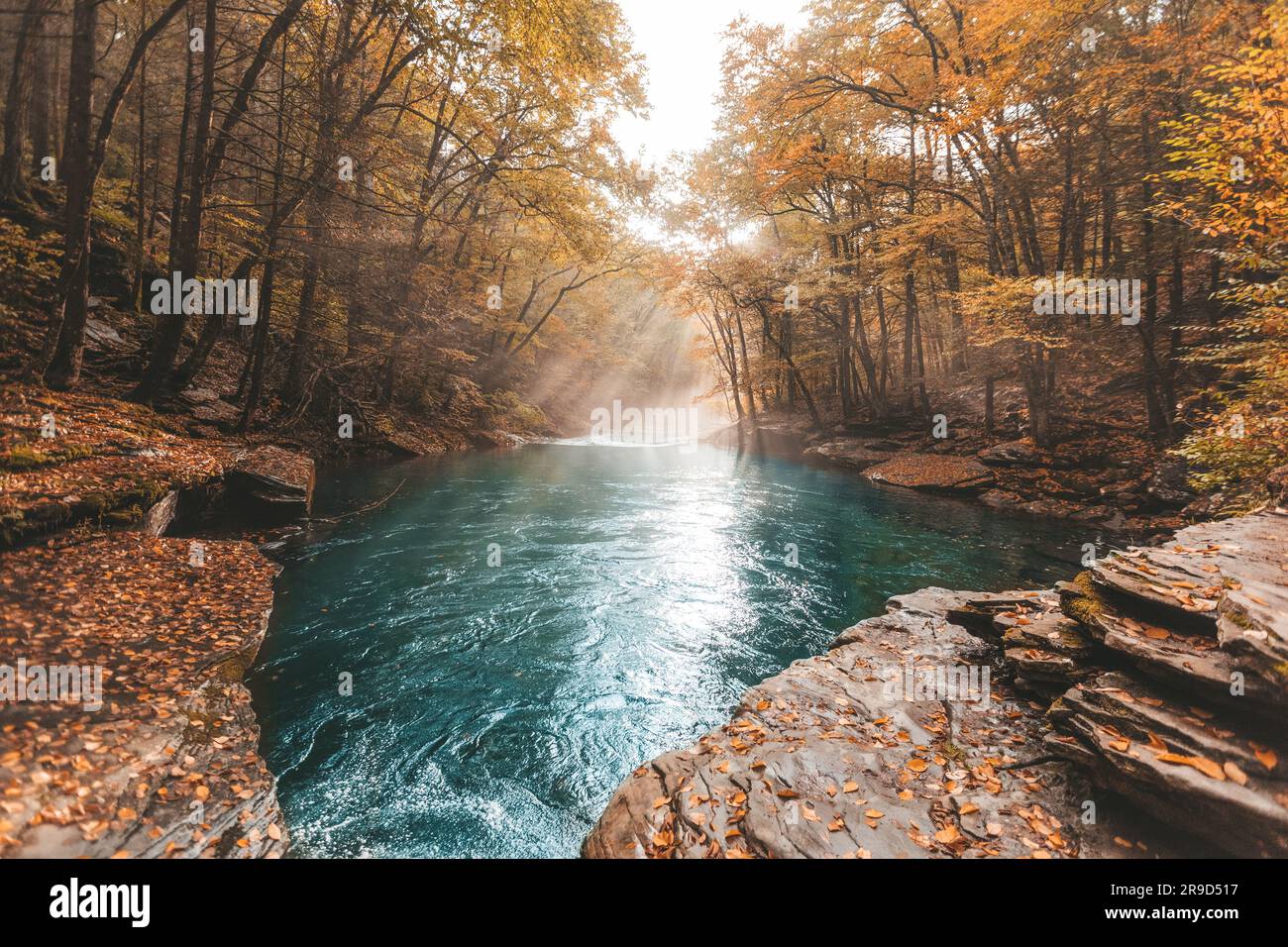 Herbst Landschaft in New England Stockfoto