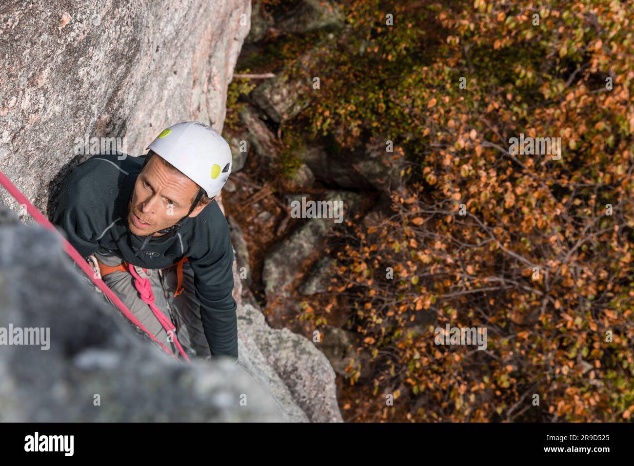 Eine Frau, die im Herbst in den Gunks klettert Stockfoto