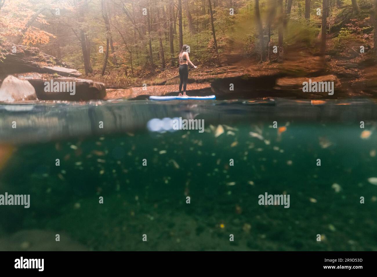 Frau paddelt in einer Herbstszene auf einem klaren Fluss Stockfoto