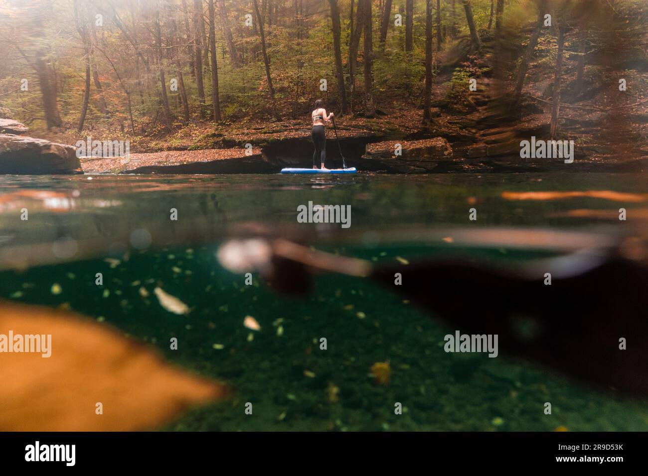 Frau paddelt in einer Herbstszene auf einem klaren Fluss Stockfoto