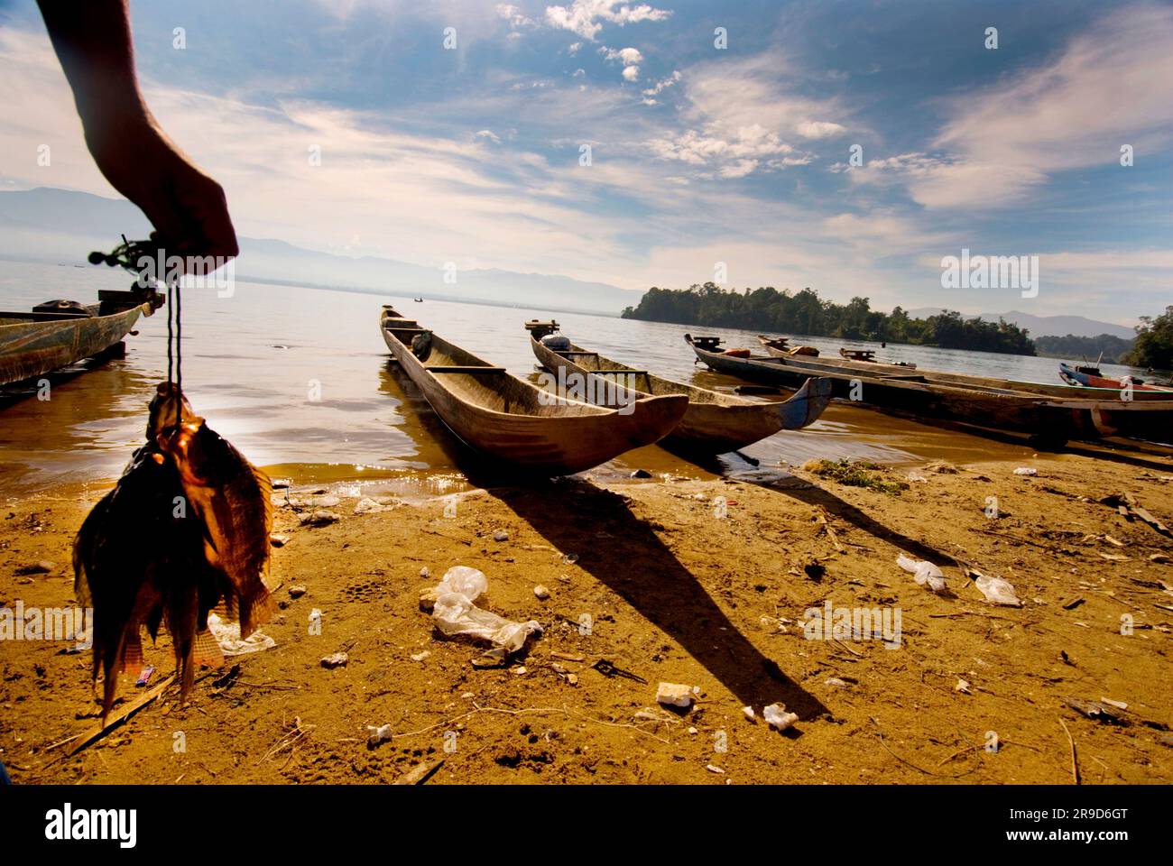 Indonesische Fischer auf dem Lore Lindu-See bringen ihren Fang ans Ufer. Stockfoto